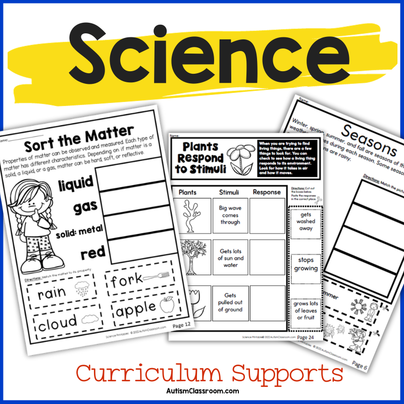curriculum for autism classroom 1