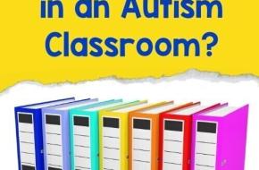 The Value of Data Collection and Data Sheets for Special Education Autism Classrooms