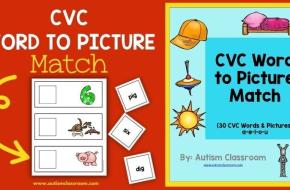 CVC Word to Picture Match (An Early Literacy Tool)