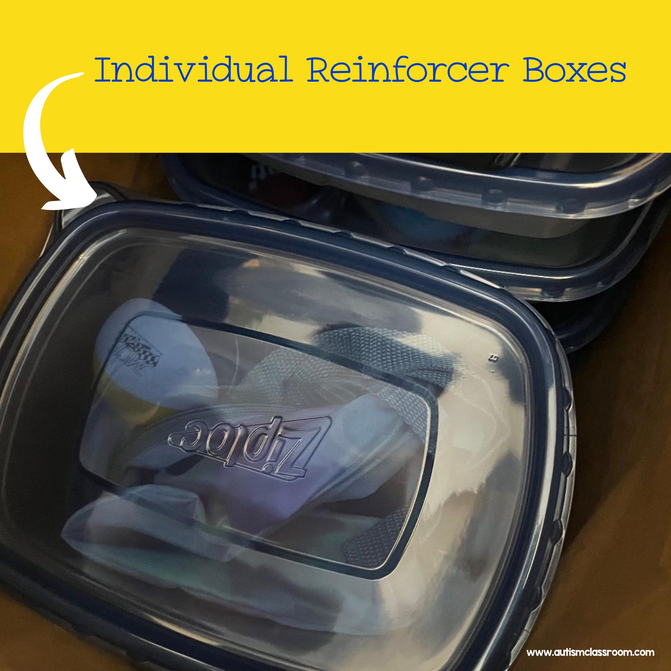 what is primary reinforcers